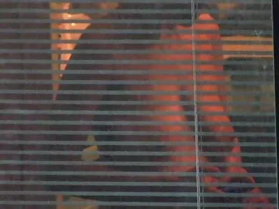 Hung stud porno klipove s jivotni се отпуска в спалнята с екзотична красота Evi Rei