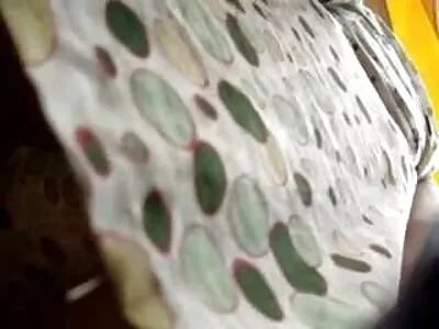 Помощта на доведения брат води до besplatni porno klipove секс с грудаст глупак в кухнята